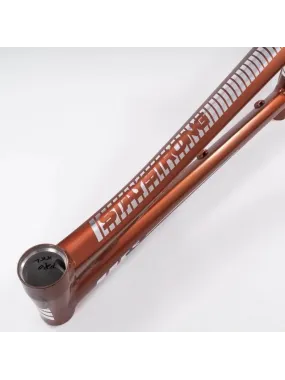Stay Strong 2023 For Life V4 Disc Frame Copper